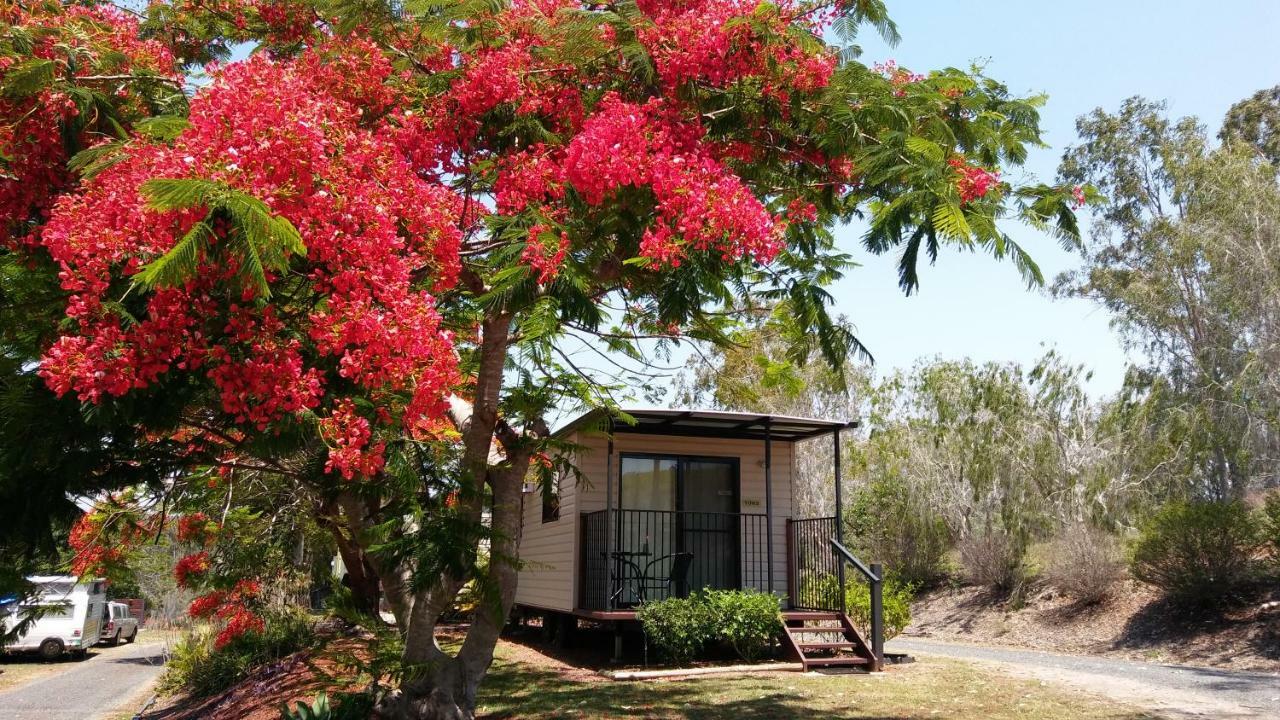 Hotel Mt Larcom Tourist Park à Mount Larcom Extérieur photo